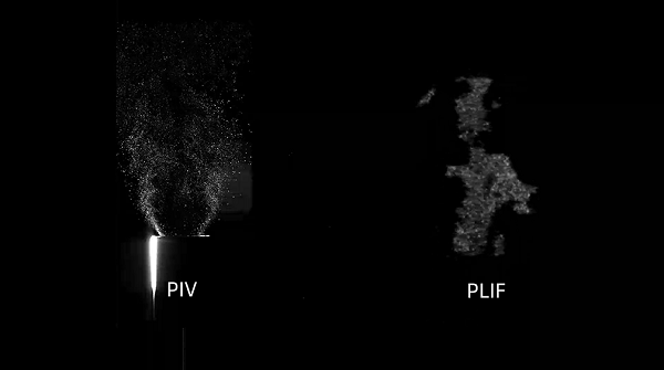 1774421792291433.png 圖片 4.png