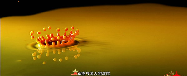 1774421846426115.png 圖片 11.png